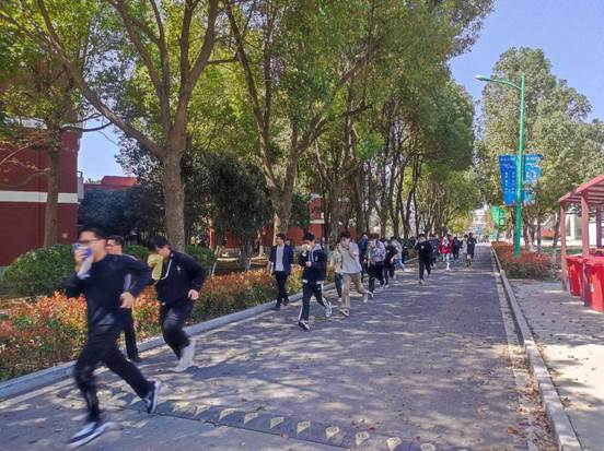 8f948ca98596829f32a39519f29b32c